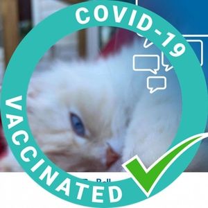 Meet your Posher, Carole